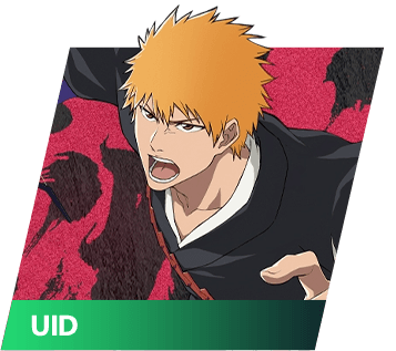 Bleach: Soul Resonance